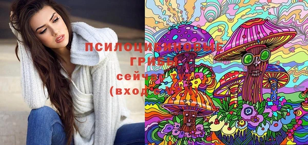 молекула духа Зерноград