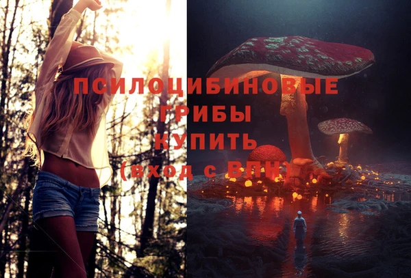 ГАЛЛЮЦИНОГЕННЫЕ ГРИБЫ Зеленокумск