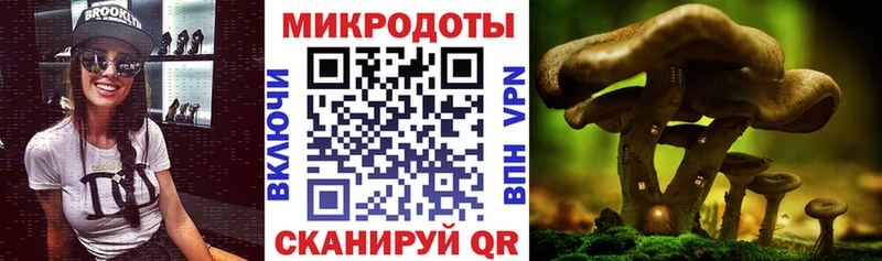 Галлюциногенные грибы прущие грибы  Сосновоборск 