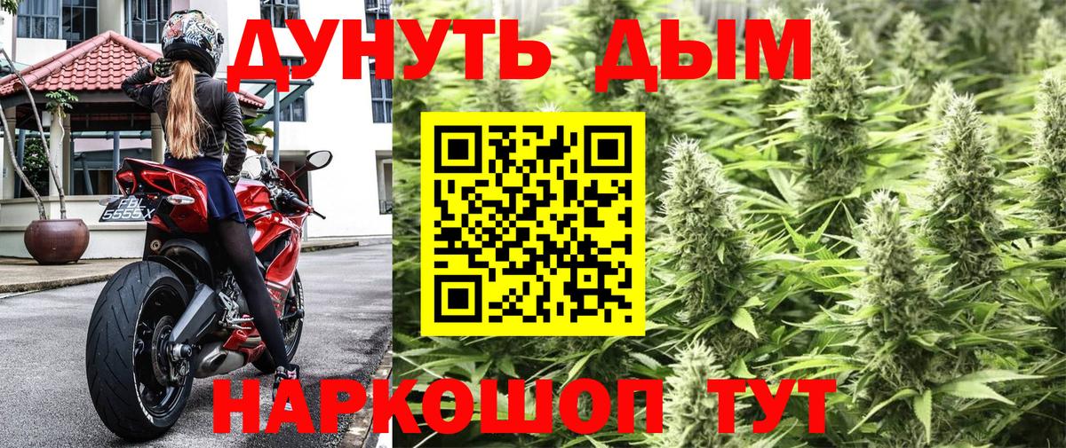 Канабис план Сосновоборск